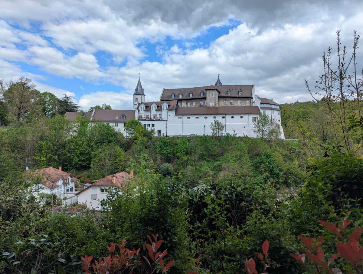 Schloss Schönberg, eine großes, weißes Gebäude-Ensemble mit Turm und roten Dächern, thronend auf einem bewaldeten Hügel über Wohngebäuden.